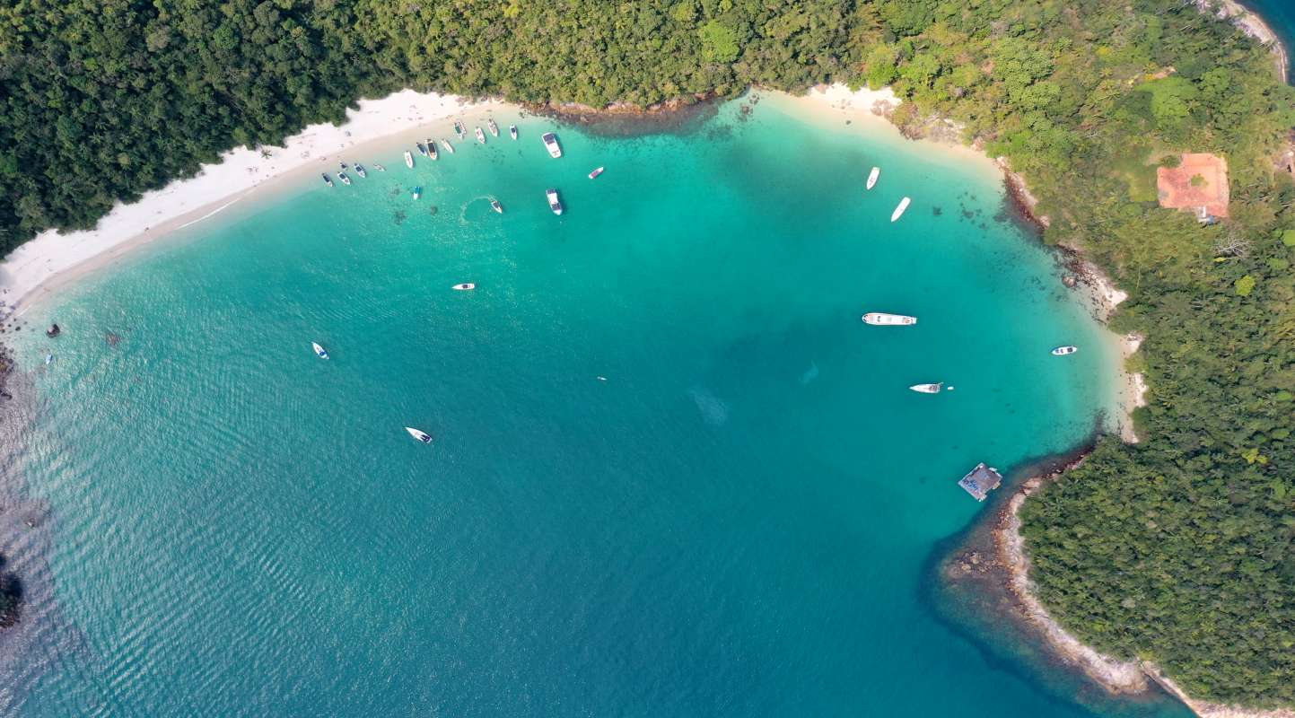 Imagem da beira da praia com floresta e barcos na costa